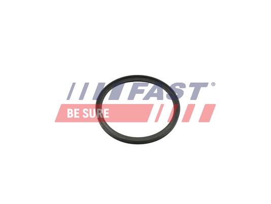 Inel etansare, compresor FT49857 FAST