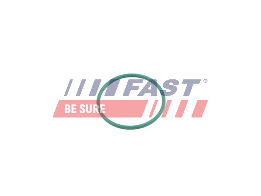 Inel etansare, furtun aer supraalimentare FT49921 FAST