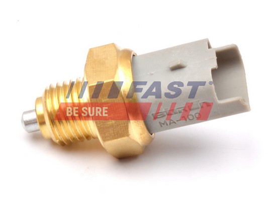 Comutator, lampa marsalier FT81095 FAST