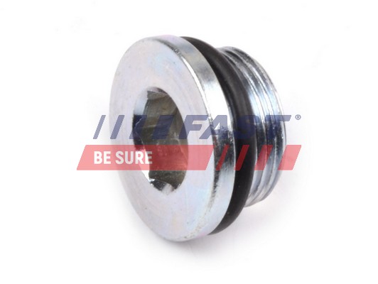 Surub de golire,baia de ulei FT94713 FAST