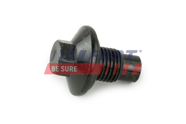 Surub de golire,baia de ulei FT94735 FAST