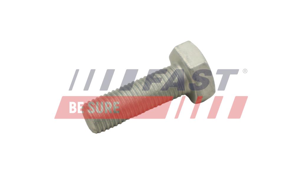 Surub, disc frana FT30601 FAST