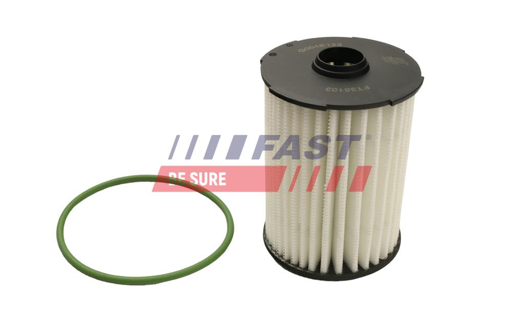 Filtru ulei FT38103 FAST