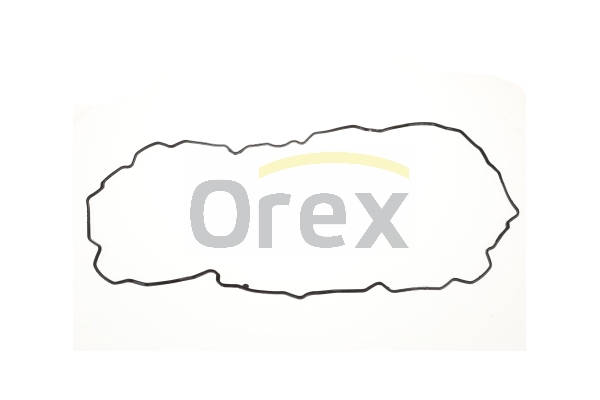 Garnitura baie ulei 116009 OREX