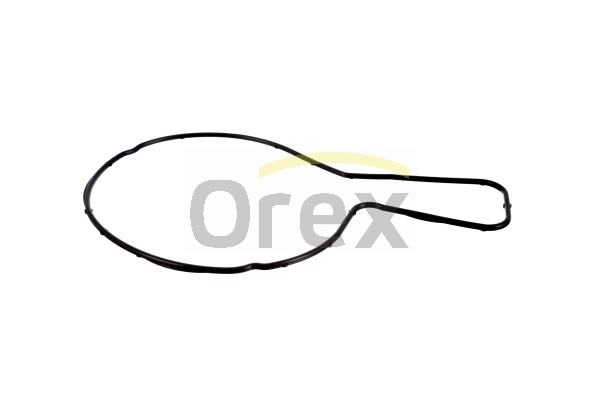 Garnitura, pompa de apa 316005 OREX