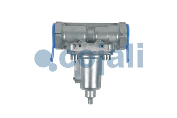 Supapa de supraplin 2206254 COJALI