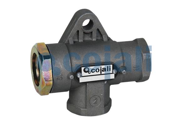 Supapa multicai 2207100 COJALI