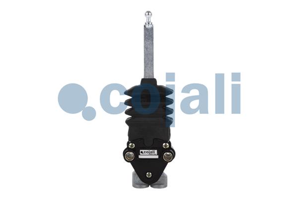 Supapa perna aer 2214509 COJALI