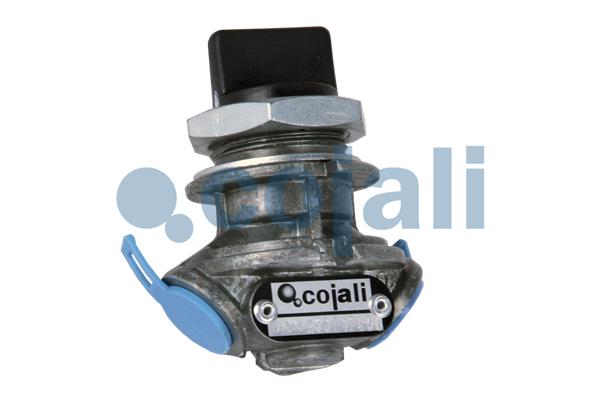 Supapa multicai 2215200 COJALI