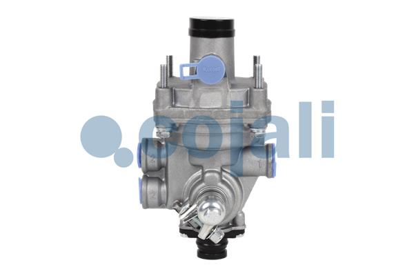 Releu, ALB 2220317 COJALI