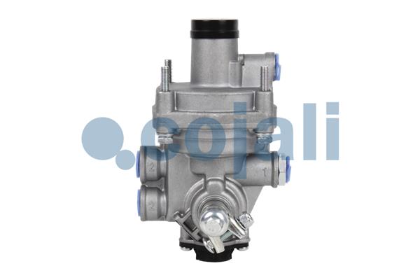 Releu, ALB 2220340 COJALI