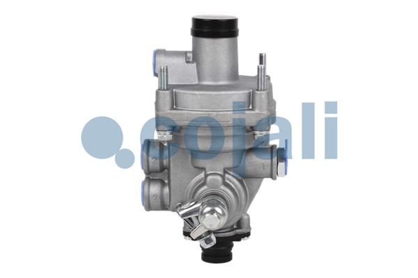 Releu, ALB 2220345 COJALI