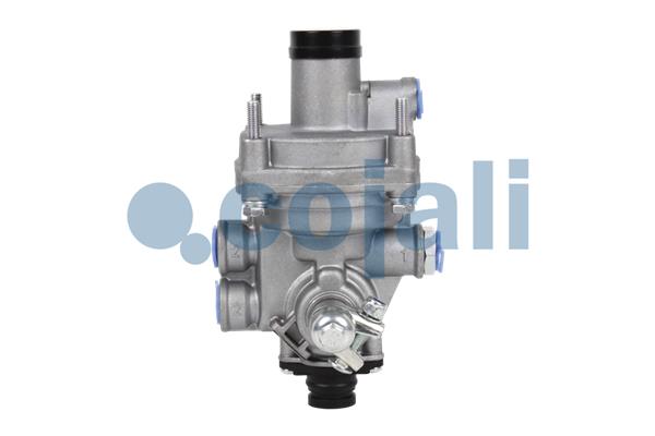 Releu, ALB 2220346 COJALI