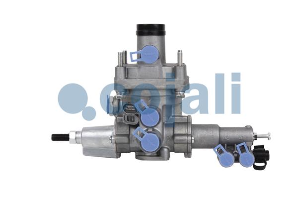 Releu, ALB 2220477 COJALI
