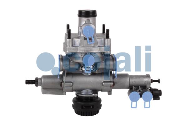 Releu, ALB 2220479 COJALI