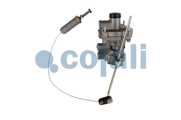 Releu, ALB 2220502 COJALI