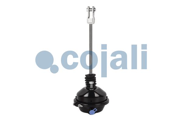 Cilindru receptor frana cu membrana 2251102 COJALI