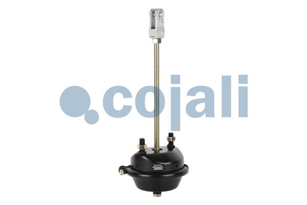 Cilindru receptor frana cu membrana 2251104 COJALI