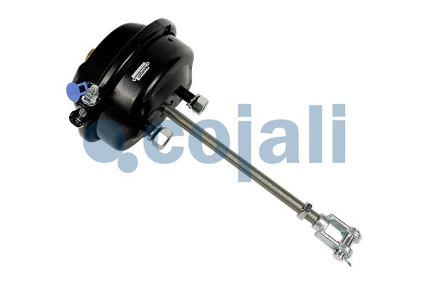 Cilindru receptor frana cu membrana 2251123 COJALI