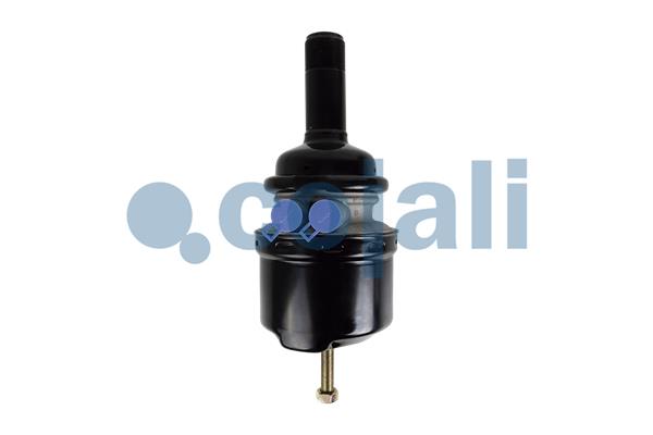 Cilindru de frana pretensionat cu arc 2251307 COJALI