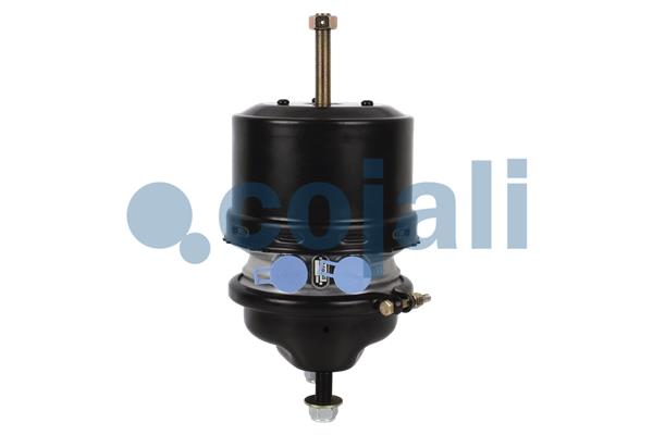 Cilindru de frana pretensionat cu arc 2251510 COJALI