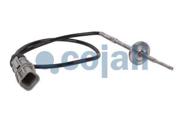 Senzor, temperatura gaze evacuare 2260399 COJALI