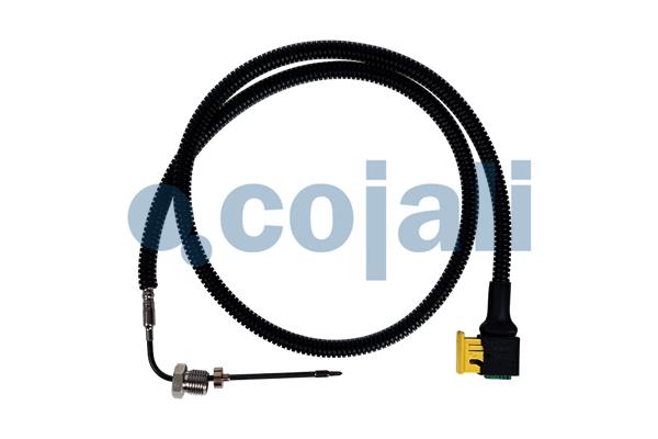 Senzor, temperatura gaze evacuare 2260884 COJALI