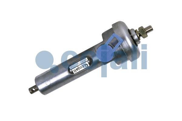 Supapa multicai 2280300 COJALI