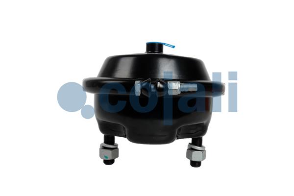 Cilindru receptor frana cu membrana 2351330 COJALI