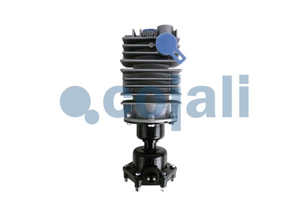 Filtru aer, compressor 2480004 COJALI