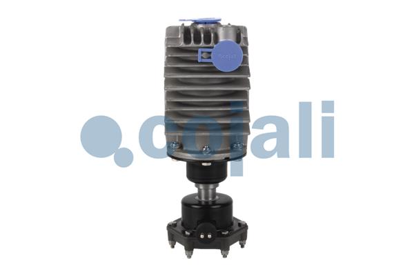 Filtru aer, compressor 2480007 COJALI