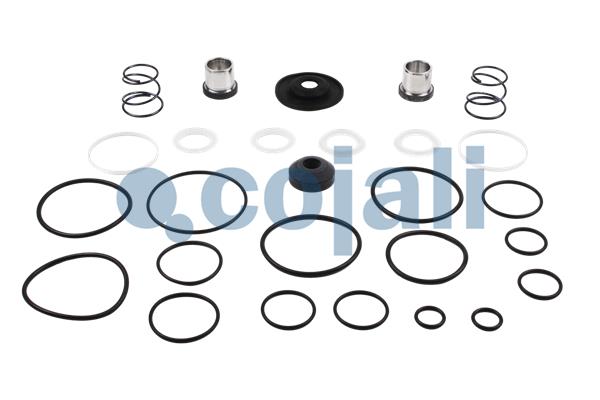 Set reparatie, supapa frana - frana de serviciu 6012001 COJALI