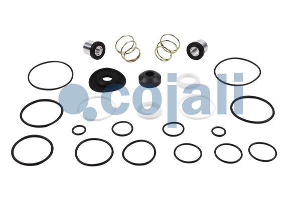 Set reparatie, supapa frana - frana de serviciu 6012011 COJALI