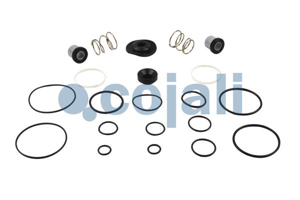 Set reparatie, supapa frana - frana de serviciu 6012012 COJALI