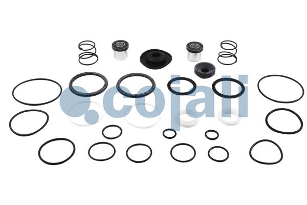 Set reparatie, supapa frana - frana de serviciu 6012025 COJALI