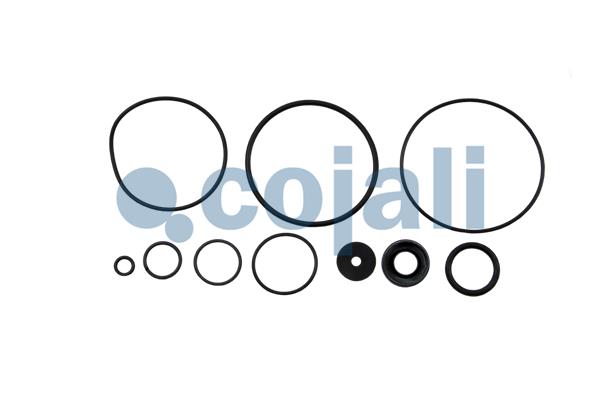 Set reparatie, Supapa releu 6012033 COJALI