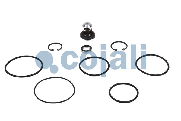 Set reparatie, Supapa stare incarcat/descarcat 6012049 COJALI