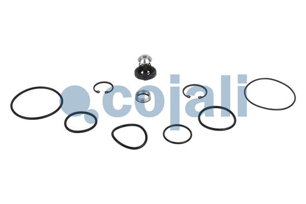 Set reparatie, Supapa stare incarcat/descarcat 6012053 COJALI