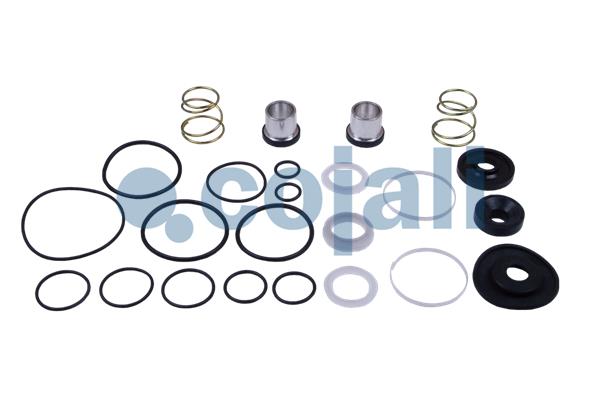 Set reparatie, supapa frana - frana de serviciu 6012060 COJALI