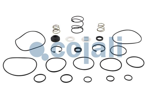 Set reparatie, supapa frana - frana de serviciu 6012063 COJALI