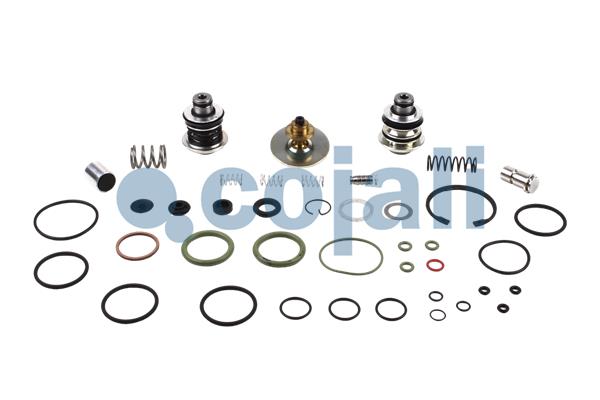 Set reparatie, uscator 6012082 COJALI