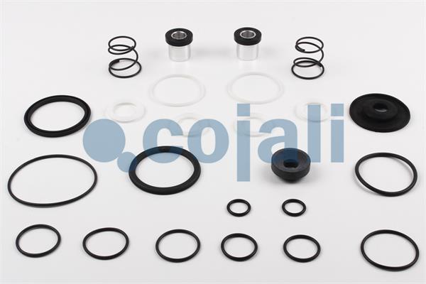 Set reparatie, supapa frana - frana de serviciu 6012094 COJALI