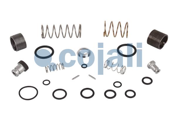 Set reparatie, supapa frana - frana de mana 6012137 COJALI
