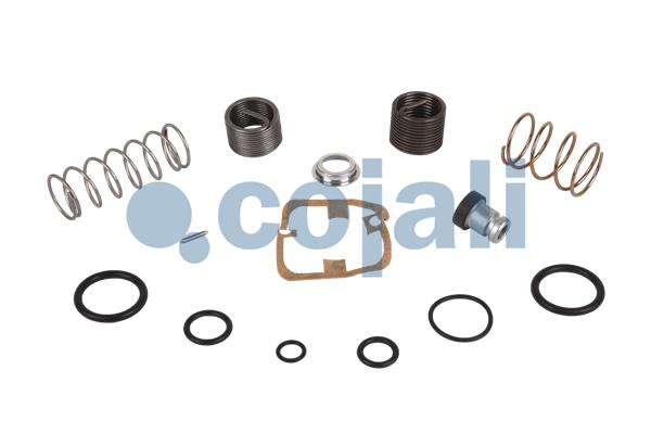 Set reparatie, supapa frana - frana de mana 6012139 COJALI