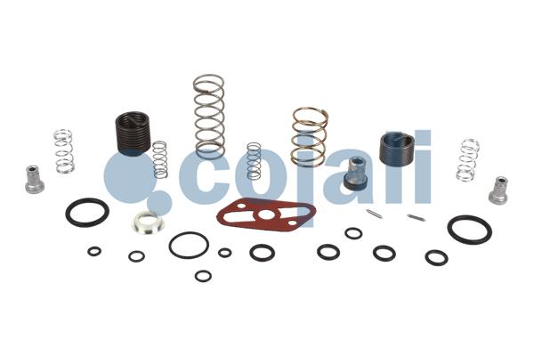 Set reparatie, supapa frana - frana de mana 6012154 COJALI
