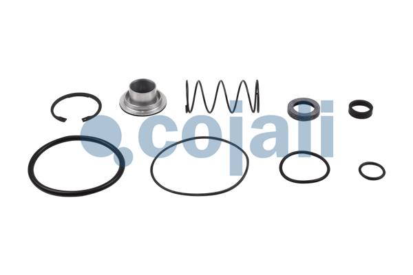 Set reparatie, Supapa releu 6012156 COJALI