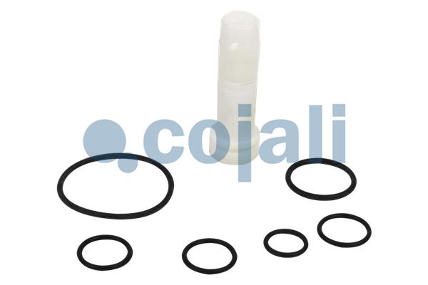 Set reparatie, Supapa releu 6012176 COJALI
