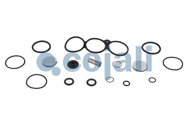 Set reparatie, supapa perna aer 6012206 COJALI