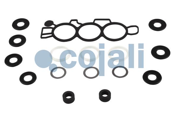Set reparatie, supapa perna aer 6012218 COJALI