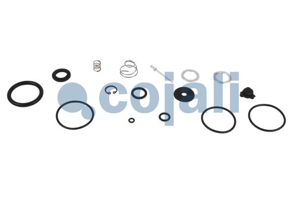 Set reparatie, uscator 6012229 COJALI